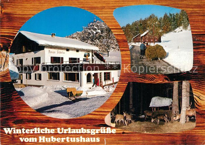 Vorarlberg Pension Hubertus Pferdeschlitten Wildfuetterung