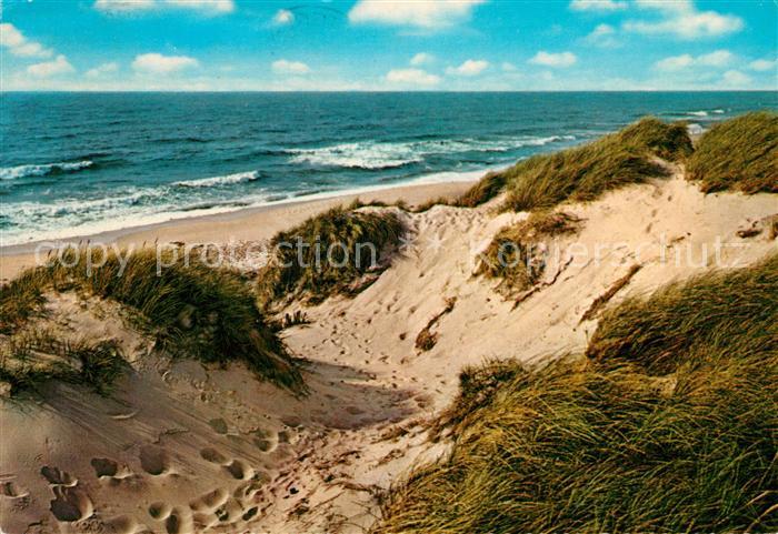 Insel Sylt Duenen und Meer Natur