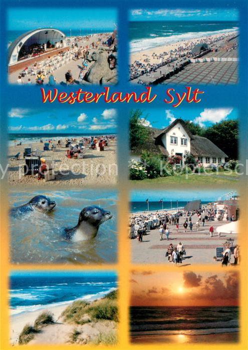 Westerland Sylt Konzertpavillon Strand Promenade Friesenhaus Seehund Duenen Sonn