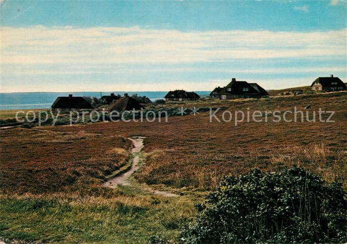 Kampen Sylt Friesenhaeuser in der Kampener Heide