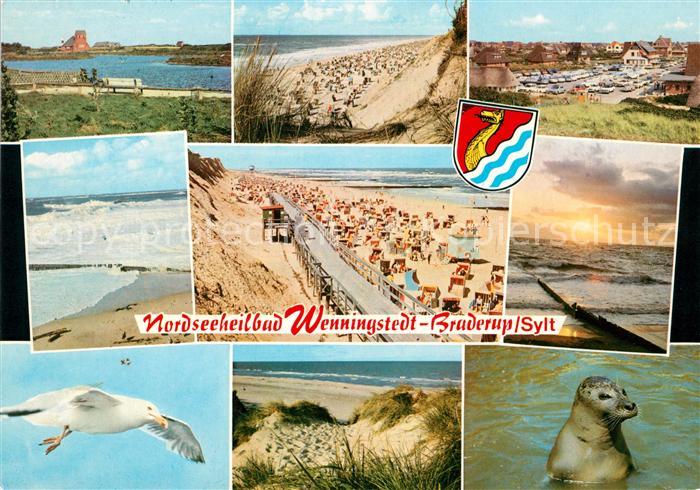 Braderup Sylt Landschaftspanorama Strand Duenen Moewen Seehund