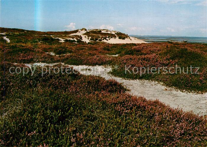 Westerland Sylt Landschaftspanorama Heide Duenen