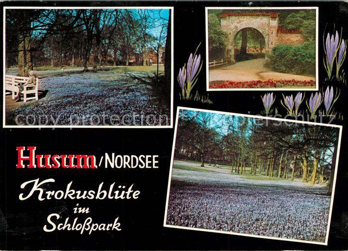 Husum Nordfriesland Krokusbluete im Schlosspark