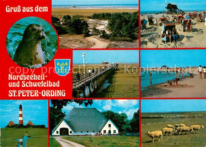 St Peter-Ording Seehund Strand Bruecke zur Sandbank Leuchtturm Bauernhof Schafe