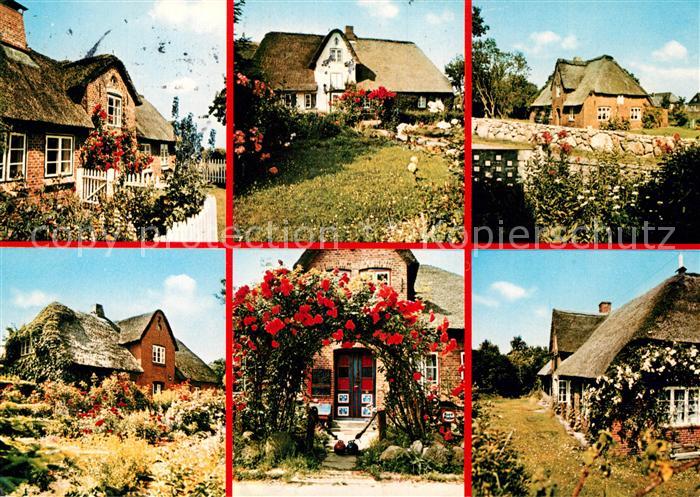 Amrum Friesenhaeuser