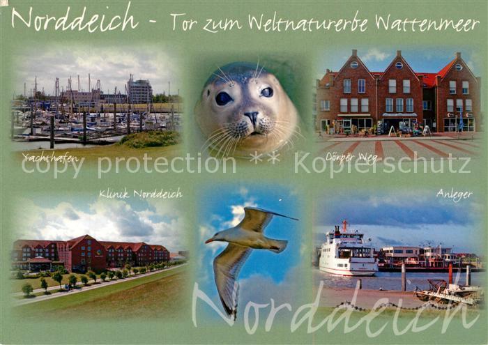 Norddeich Ostfriesland Tor zum Weltnaturerbe Wattenmeer Yachthafen Seehund Doerp