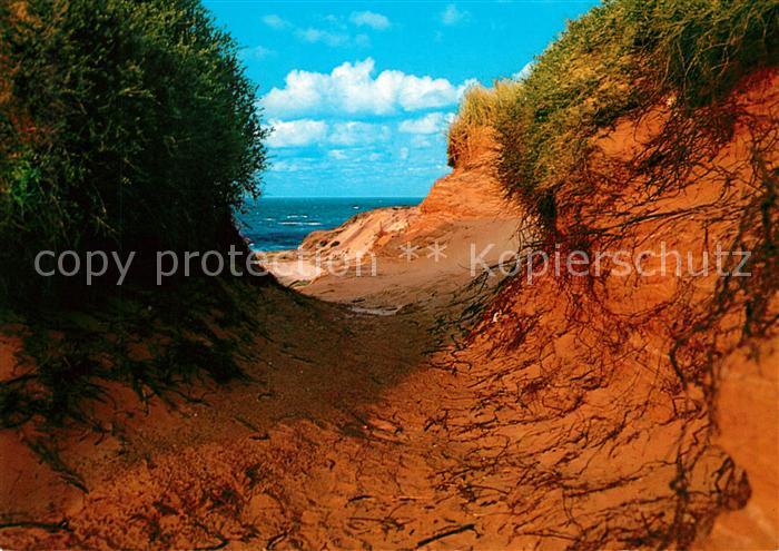 Morsum Sylt Duenenlandschaft Naturschutzgebiet