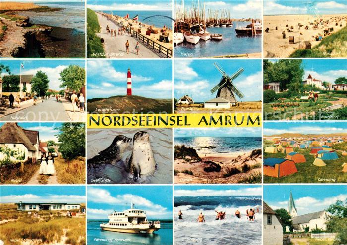 Amrum Camping Kirche Faehre Seehunde Norddorf Leuchtturm