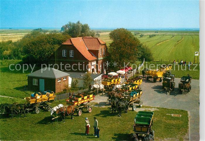 Insel Neuwerk Wattwagen auf der Turmwurt
