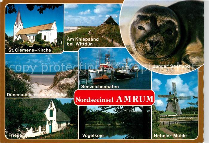 Amrum Clemens Kirche Seezeichenhafen Muehle Friesenhaus Seehund