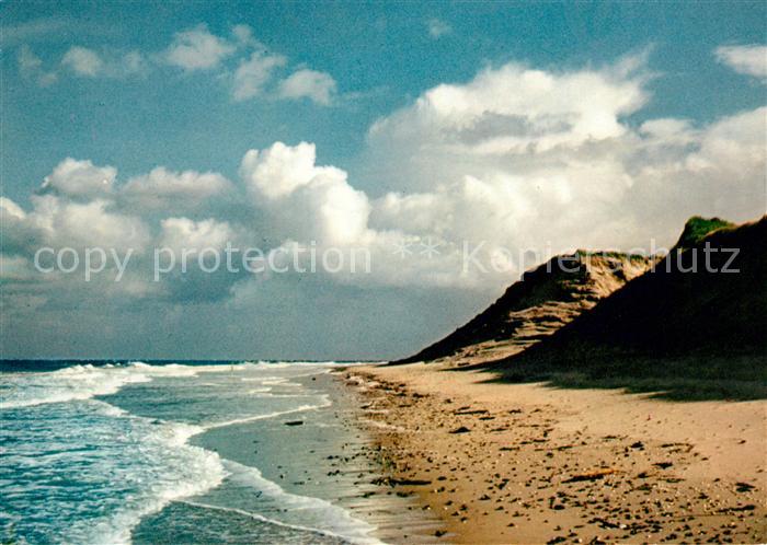 Amrum Odde Strand Steilkueste
