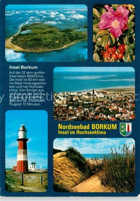 Borkum Leuchtturm Fliegeraufnahme Duene Heckenrose