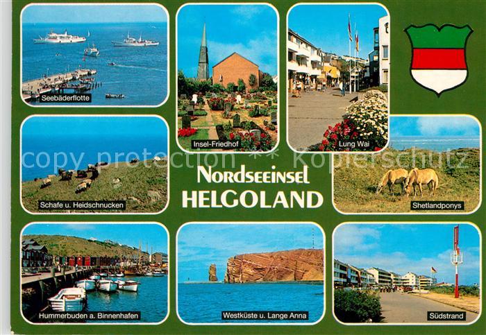 Helgoland Fliegeraufnahme Lange Anna Hummerbuden SchafeHeidschnucken Seebaederfl