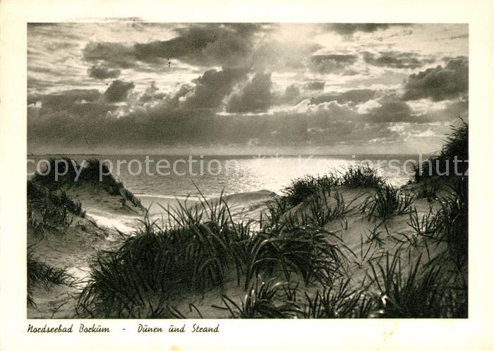 Borkum Duenen Strand Sonnenuntergang