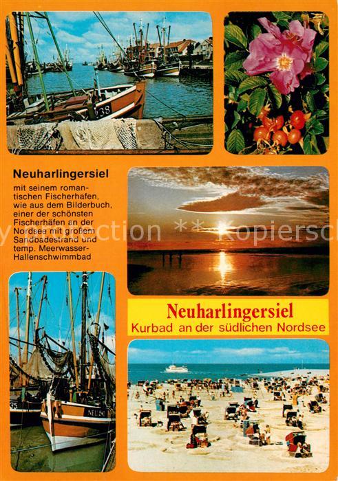 Neuharlingersiel Hafen Hagebutte Abendstimmung