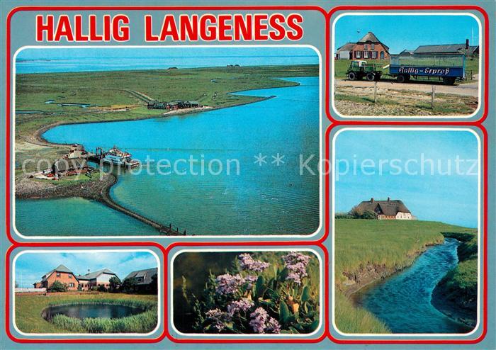 Langeness Hallig Express Fliegeraufnahme