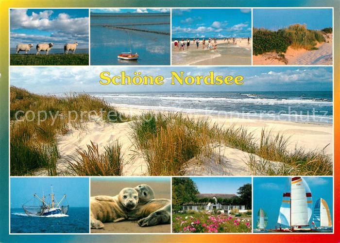 Nordsee Region Strand Duenen Seehunde Segelboote Fischkutter