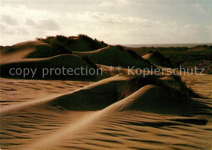 Insel Sylt Sandduenen