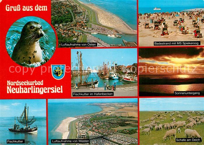 Neuharlingersiel Fliegeraufnahme Fischkutter Hafenbecken Badestrand MS Soepieker