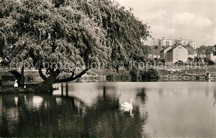 Giessen Lahn Schwanenteich