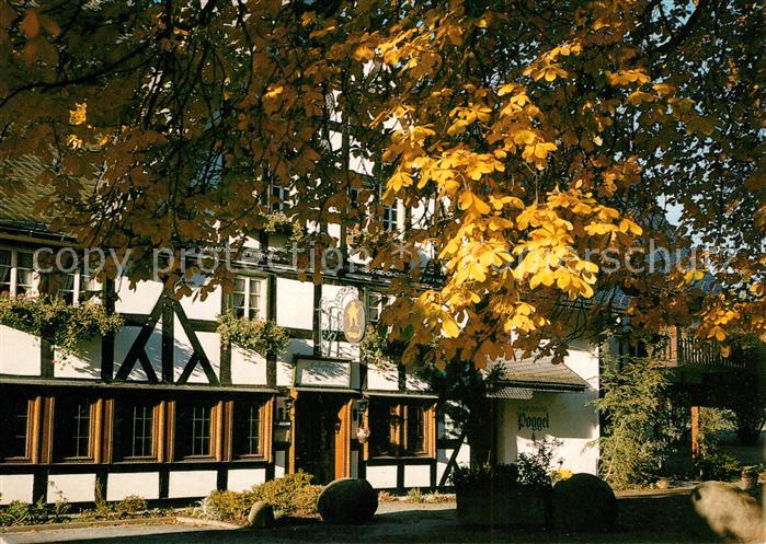 Eslohe Sauerland Hotel Forellenhof Poggel