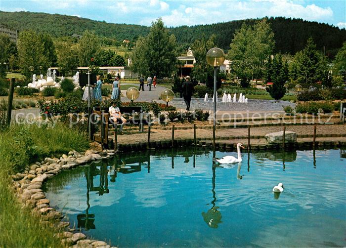 Salmuenster Bad Soden Wassergarten Schwaene