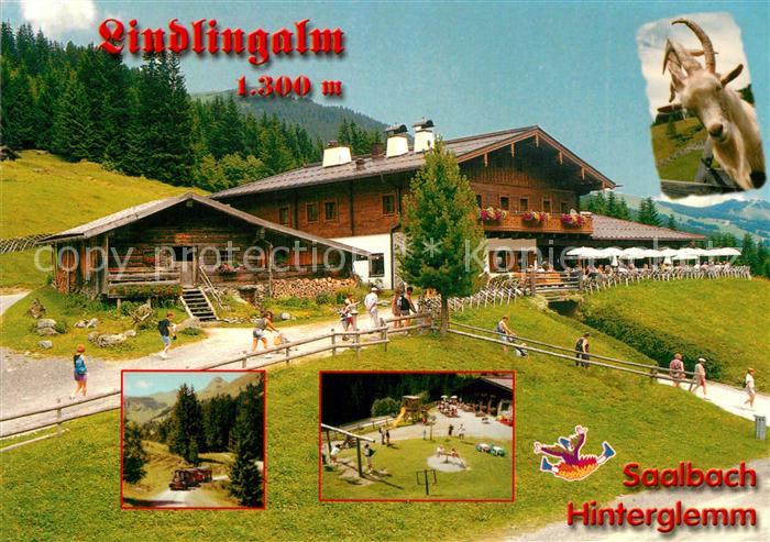 Hinterglemm Saalbach Restaurant Lindlingalm Almhuette Kaeserei Ziege Kinderspiel