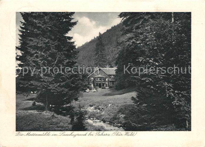 Tabarz Massemuehle im Lauchagrund