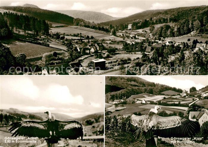 Berlebeck Panorama Luftkurort von der Adlerwarte gesehen Gaensegeier Ajax