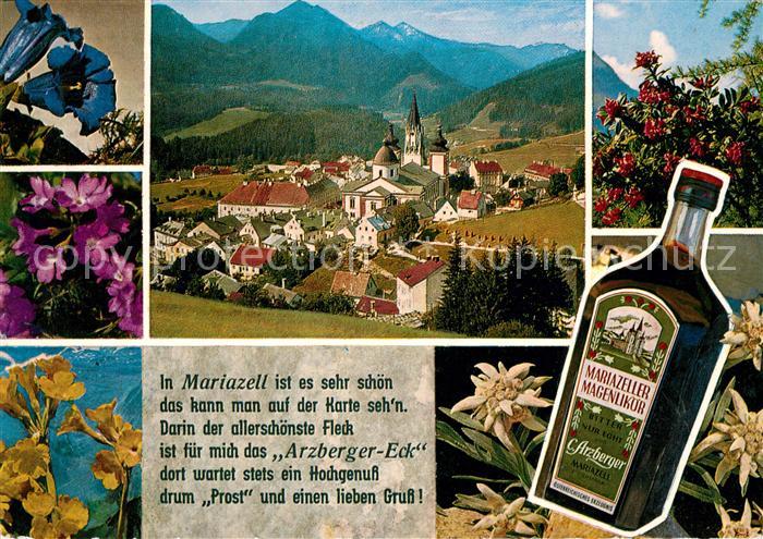 Mariazell Steiermark Gesamtansicht mit Basilika Alpenpanorama Alpenflora Mariaze