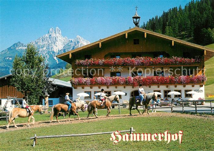 Filzmoos Hotel Hammerhof Reiten Urlaub am Bauernhof Alpen
