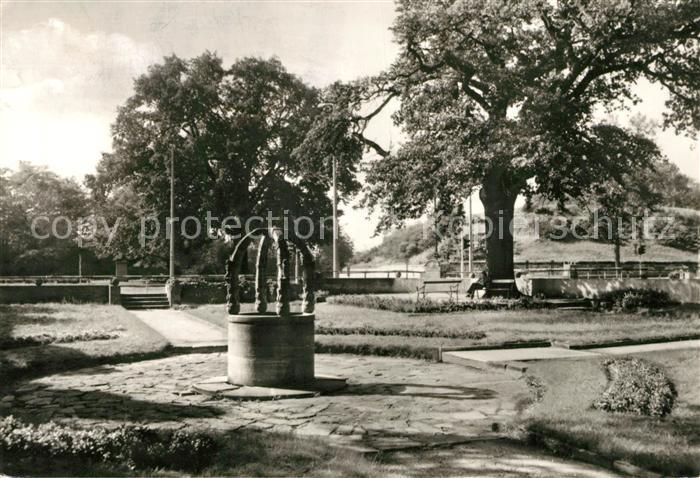 Wittenberg Lutherstadt Partie an der Luthereiche