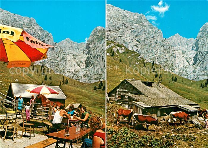 Golling Salzach Obere Torrener Jochalm Bichlerhuette Almvieh Kuehe Alpen