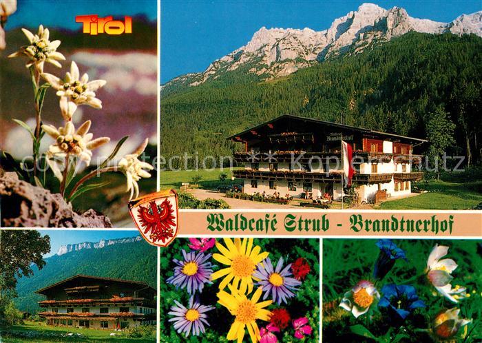 Waidring Tirol Waldcafe Strub Brandtnerhof Bergwelt Edelweiss Blumen Alpenflora