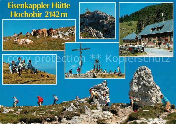 Eisenkappel-Vellach Eisenkappler Huette Hochobir Bergwandern Gipfelkreuz Almvieh