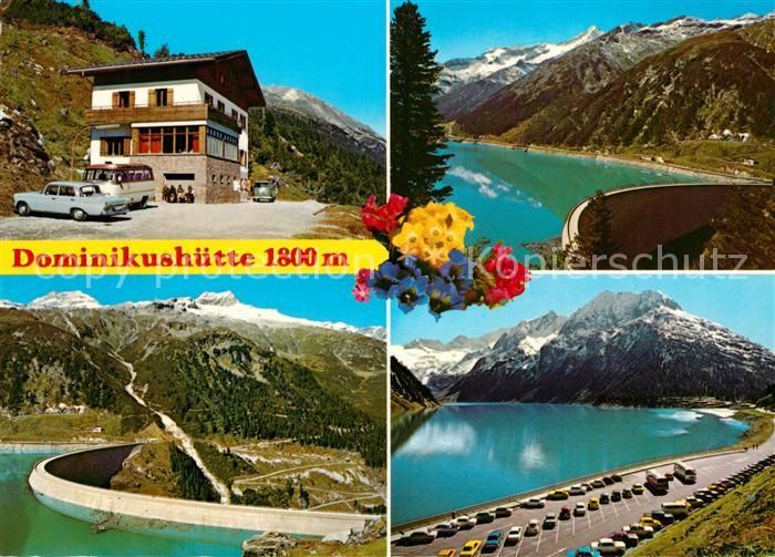 Dominikushuette Zillertaler Alpen Sperrmauer Stausee Alpenflora