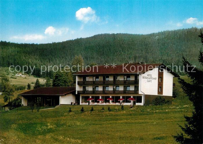 Bodenmais Hotel Bergknappenhof