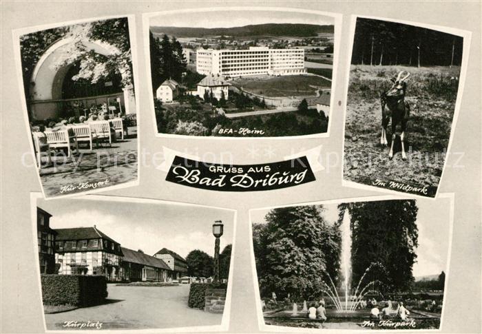 Bad Driburg Kur Konzert BfA Heim Wildpark Kurplatz Kurpark Fontaene