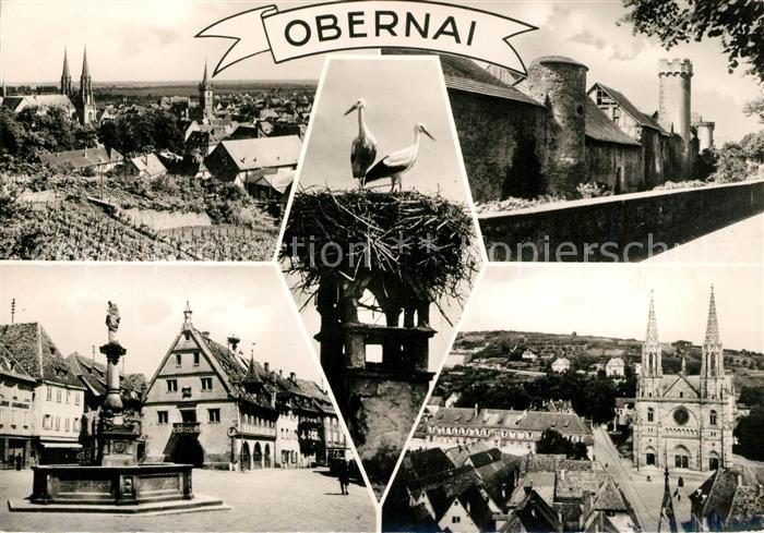 Obernai Bas Rhin Panorama Stoerche Burg Markt Brunnen Kirche