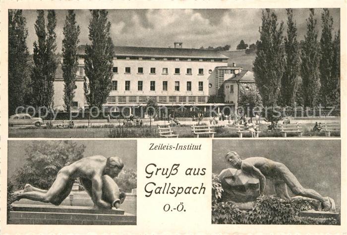 Gallspach Zeileis Institut