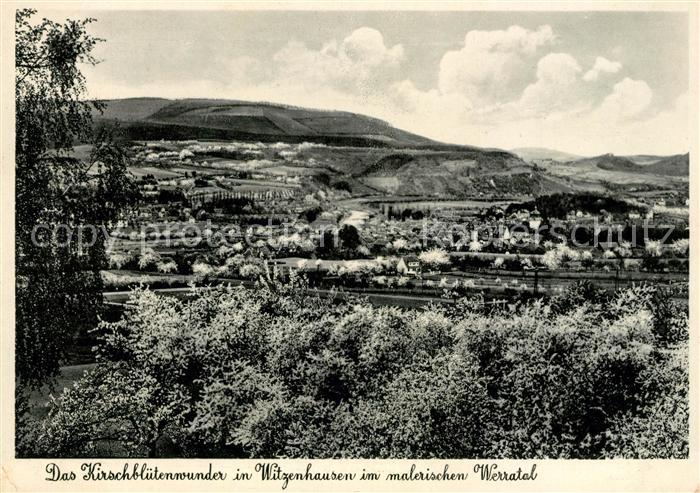 Witzenhausen Kirschbluete im Werratal