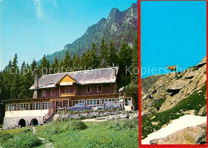 Vysoke Tatry Chata Kamzik Berghaus Hohe Tatra Gemse