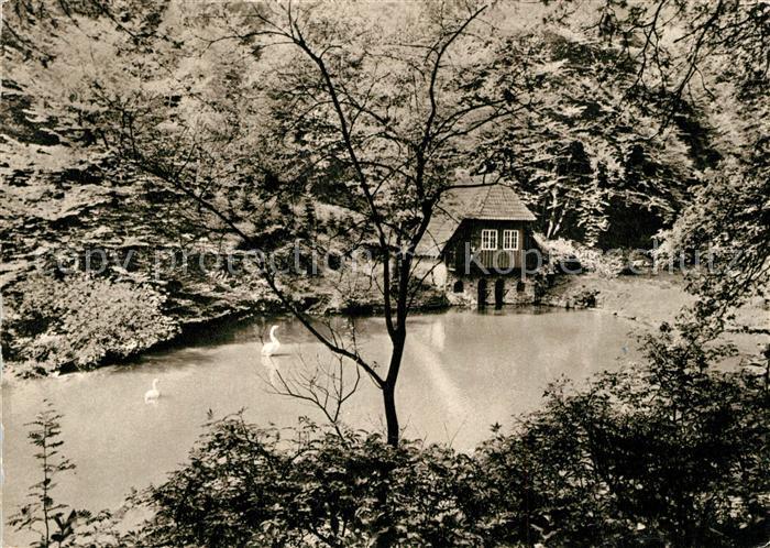 Muelheim Ruhr Witthausbusch