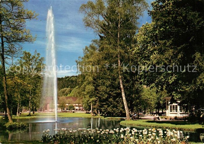 Bad Liebenzell Fontaene im Kurpark