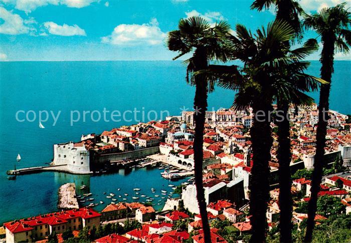 Dubrovnik Ragusa Panorama