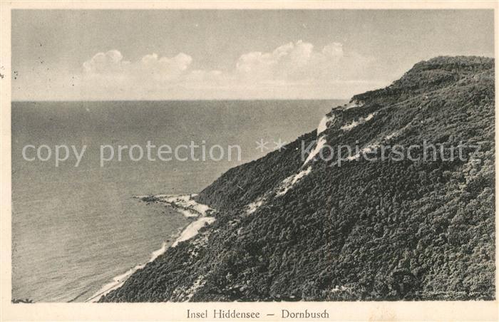 Insel Hiddensee Dornbusch