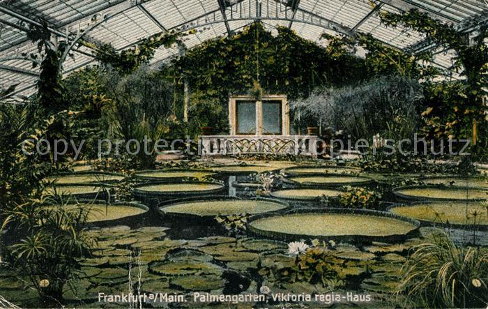 Frankfurt Main Palmenhaus Viktoria Regis Haus