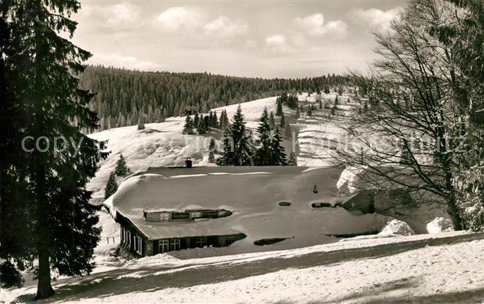 Feldberg Schwarzwald Gasthaus Menzenschwander Hoehe