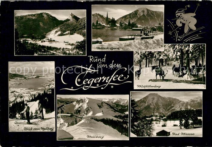 Tegernsee Kreuth Rottach-Egern Bad Wiessee Wallberg Wildfuetterung Winter
