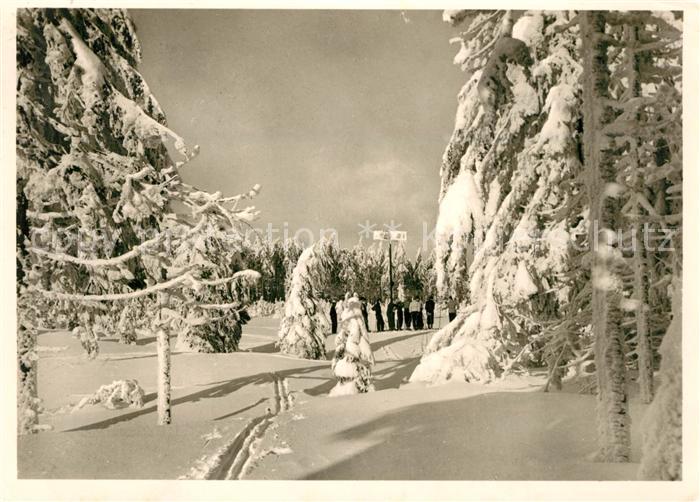 Andreasberg Harz St Winterlandschaft Rehberg